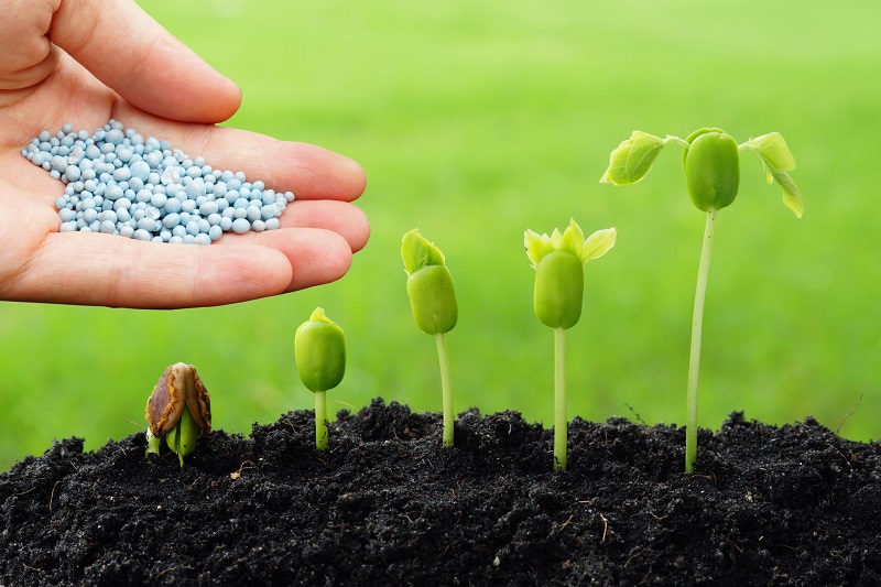 Declaração importante sobre a política de exportação de fertilizantes da China para 2026